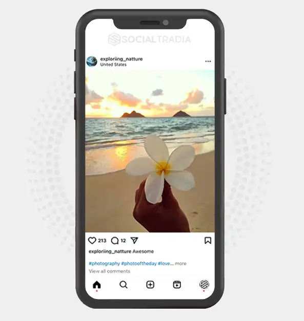 buy Instagram account exploriing_natture (2.2 k Followers)