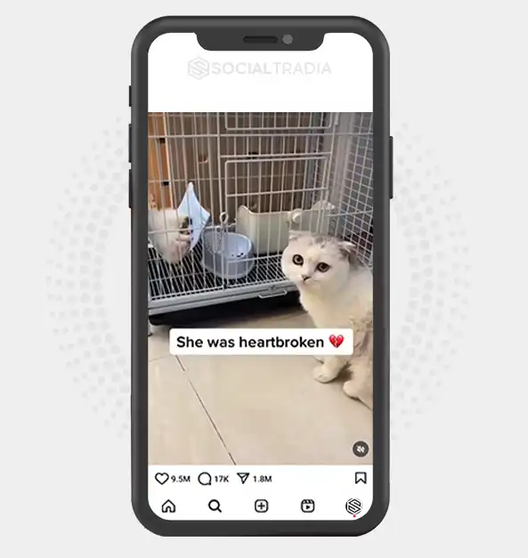 buy Instagram account Ferret Park (35.3 k Followers)