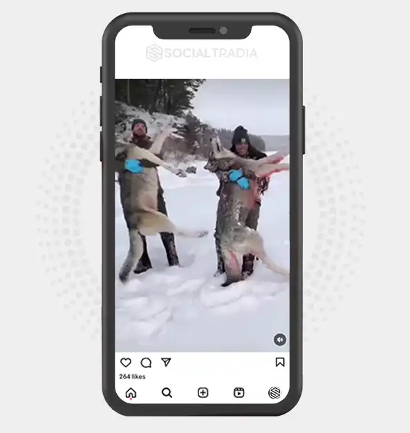 buy Instagram account Hunting Grow (2 k Followers)