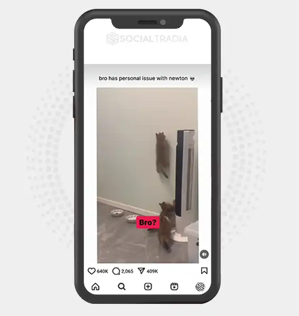 buy Instagram account Kitty Step (62.6 k Followers) buy Instagram account Kitty Step (62.6 k Followers)