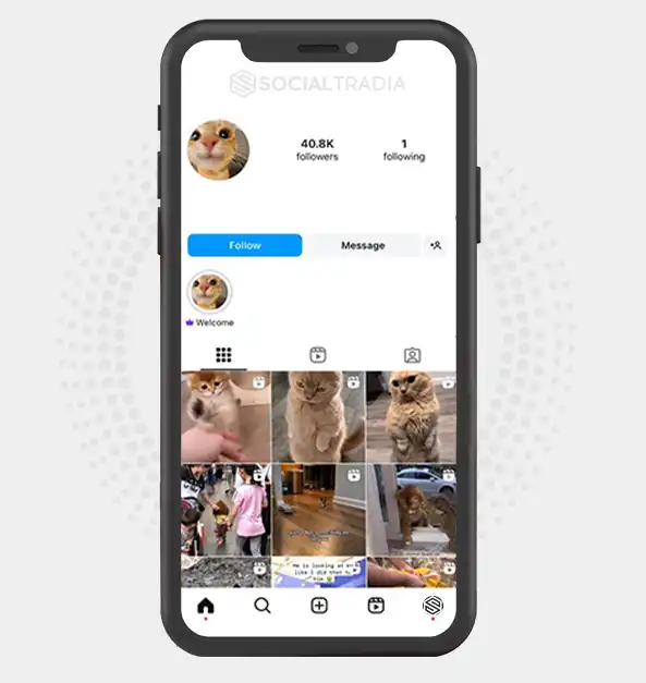 buy Instagram account KittyParty (40.8 k Followers)