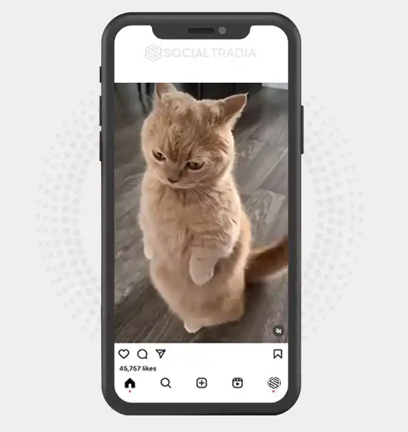 buy Instagram account KittyParty (40.8 k Followers)