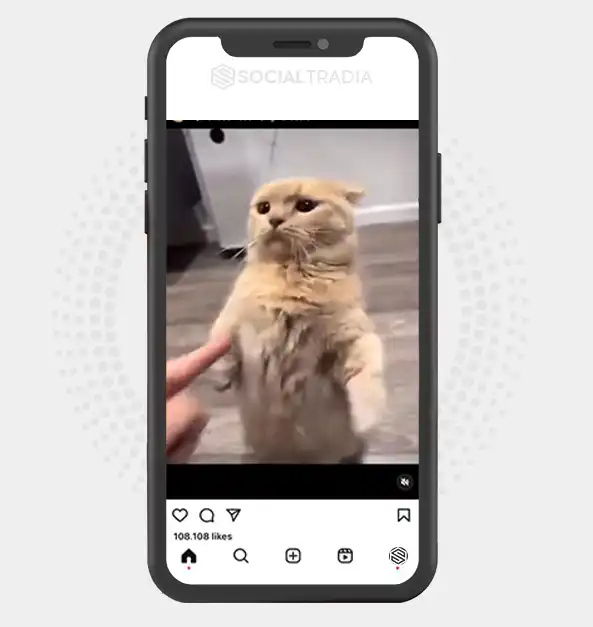 buy Instagram account KittyParty (40.8 k Followers)