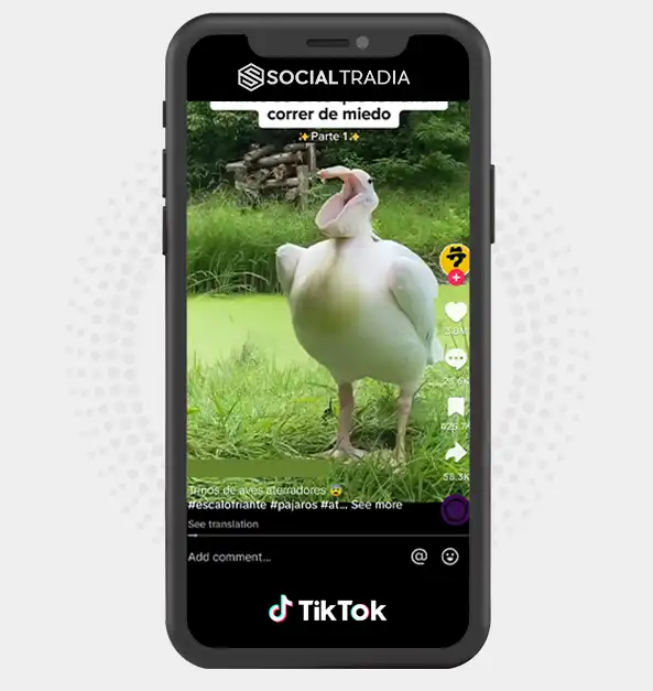 buy instagram account