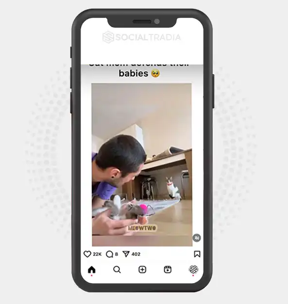 buy Instagram account PawCool (17.2 k Followers)