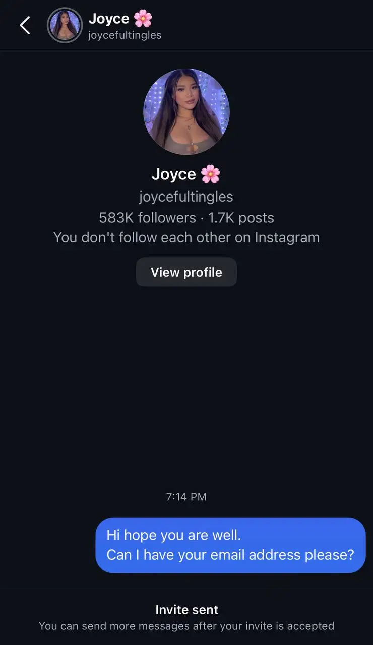 10 Simple Ways to Find an Email Linked to an Instagram Account | Social