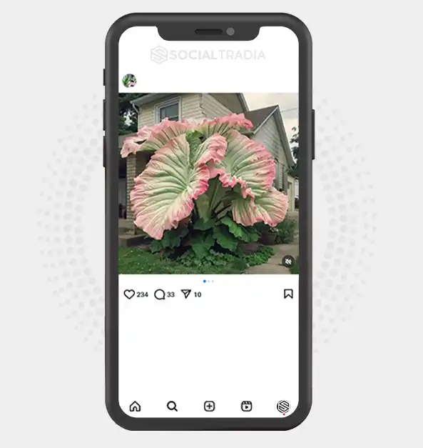 buy instagram account