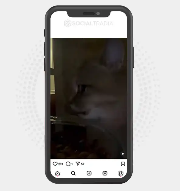 buy Instagram account KittyLab (11.4 k Followers)