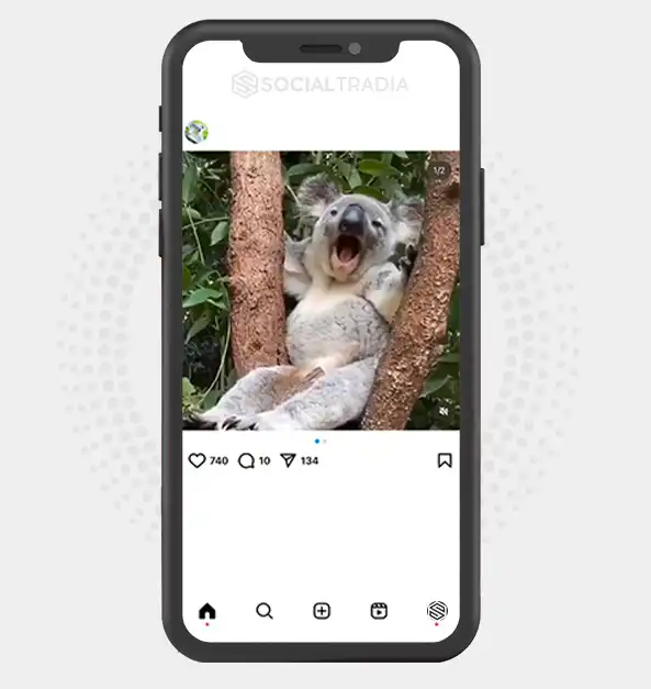 buy Instagram account Koala Beauty (45.6 k Followers)