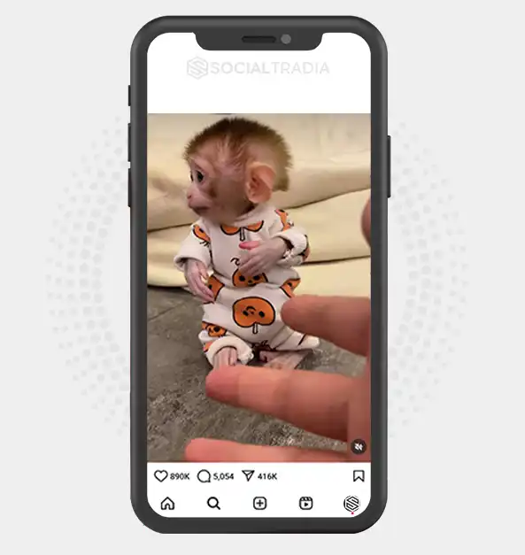buy Instagram account MonkeyPage (687 k Followers)