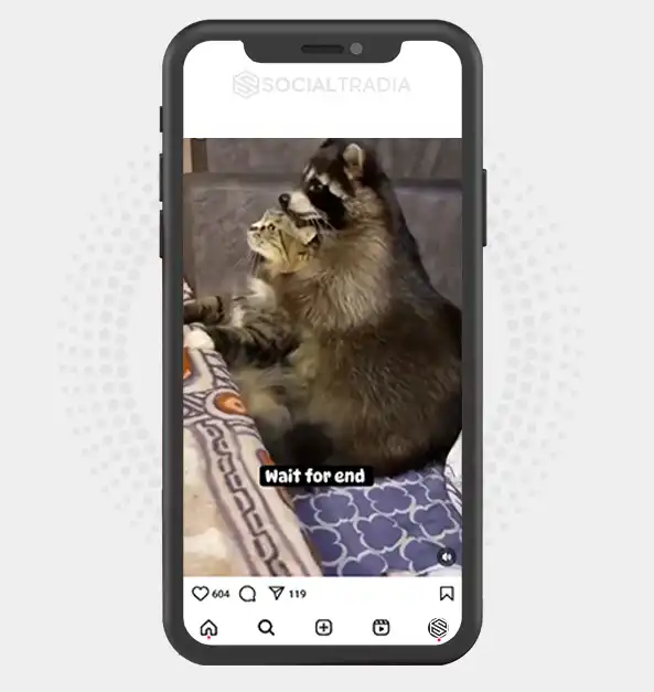 buy Instagram account RaccoonFans (99.5 k Followers) buy Instagram account RaccoonFans (99.5 k Followers)