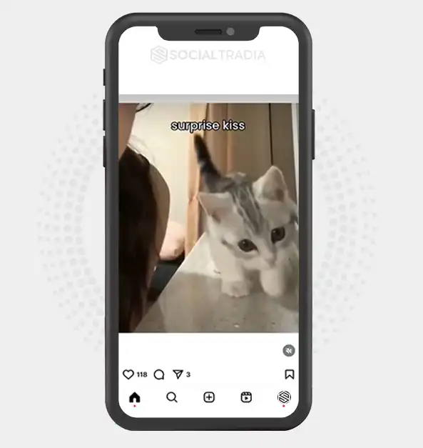 buy Instagram account Whisker Here (17.4 k Followers)