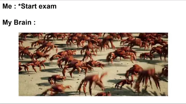 Top 40 Popular Memes on Social Media in 2024 | Social Tradia