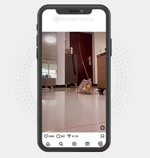 buy Instagram account CattyProof (26.2 k Followers) buy Instagram account CattyProof (26.2 k Followers)
