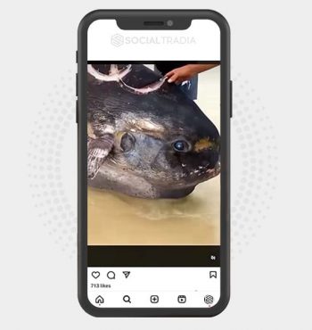 buy instagram account