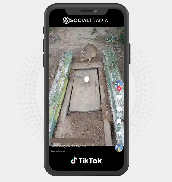 buy instagram account