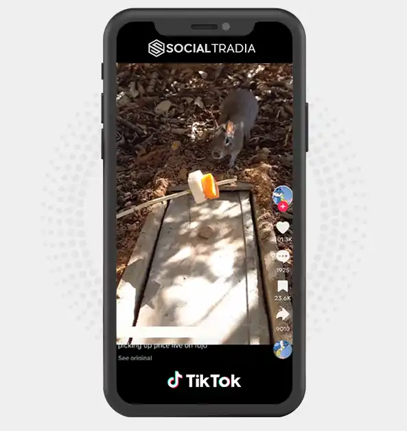 buy Instagram account Ground Trick (734.4 k Followers)