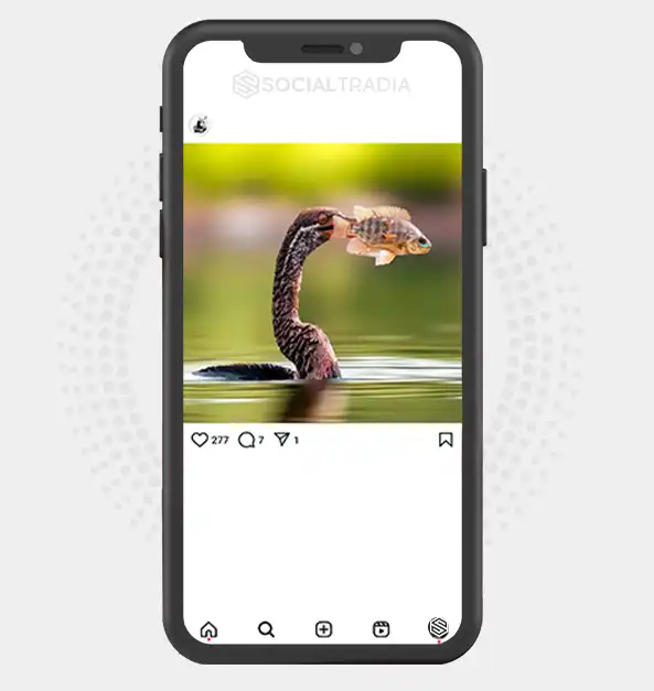 buy Instagram account Hunter Social (3.8 k Followers)
