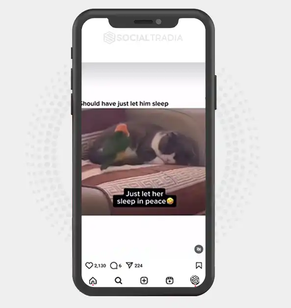 buy Instagram account Kitty Pop (13 k Followers)