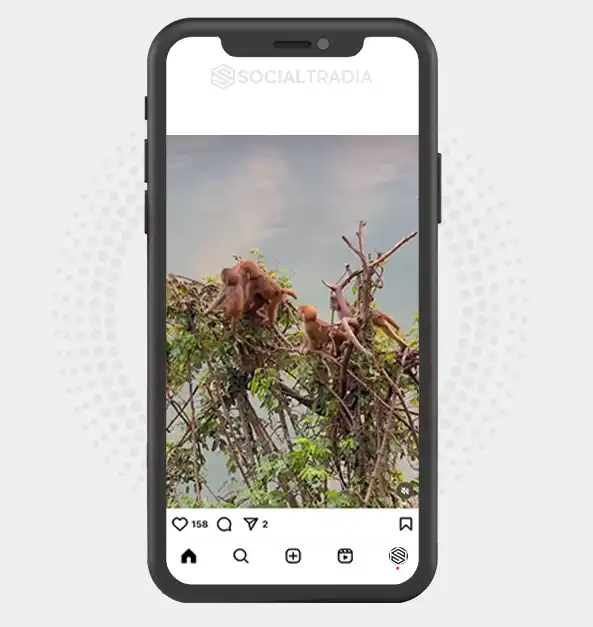 buy instagram account