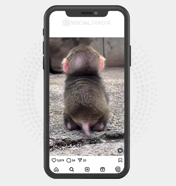 buy Instagram account MonkeyZone (17 k Followers)
