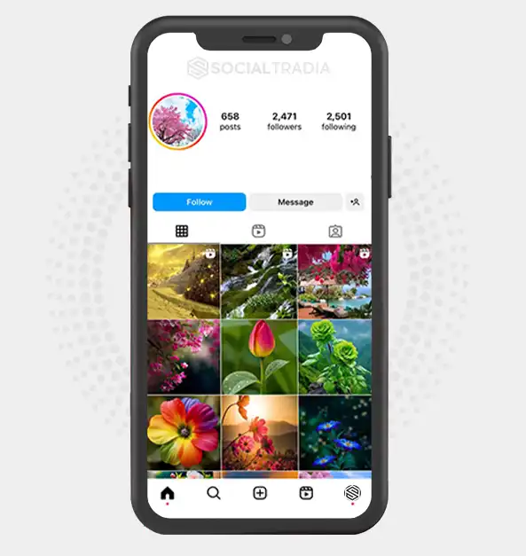 Nature Ride (2.4 k Followers) Social Tradia