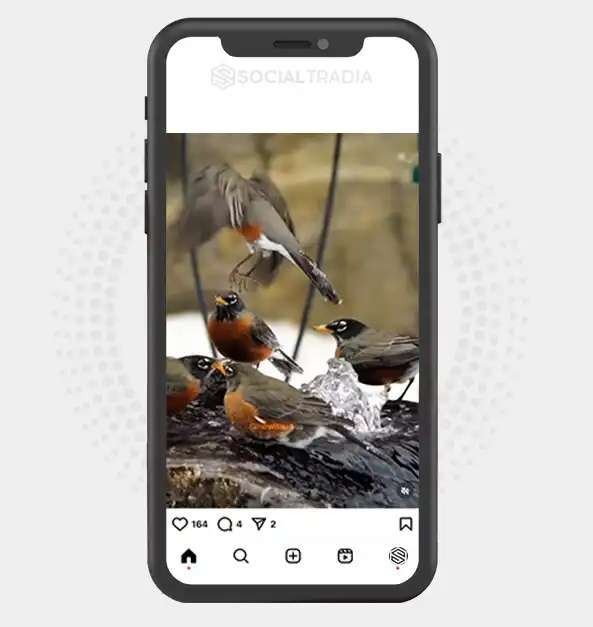 buy Instagram account NatureAbode (3.1 k Followers)