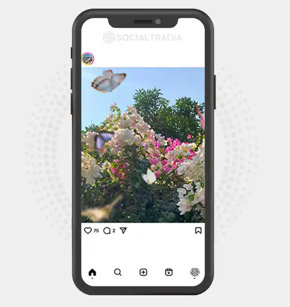 buy Instagram account NatureGather (2.2 k Followers)