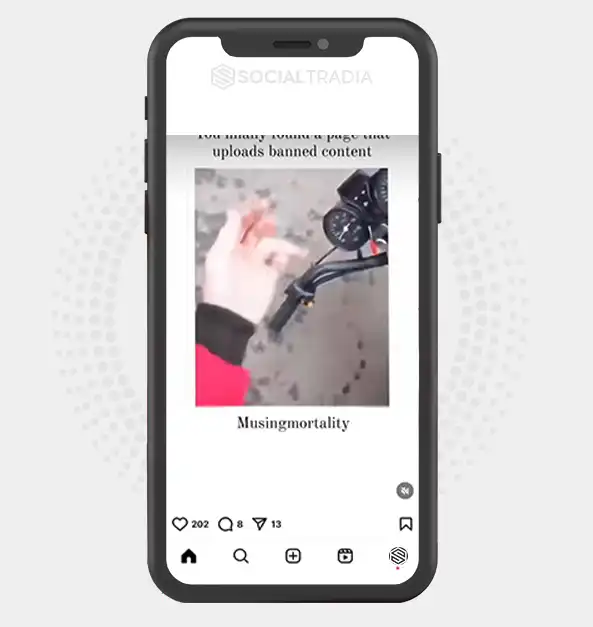 buy Instagram account Weird Mused (41.5 k Followers)