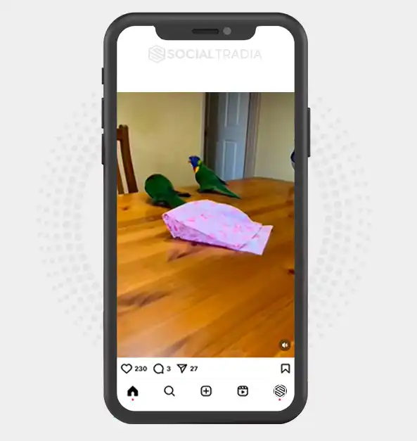 buy Instagram account BirdColor (97.4 k Followers)