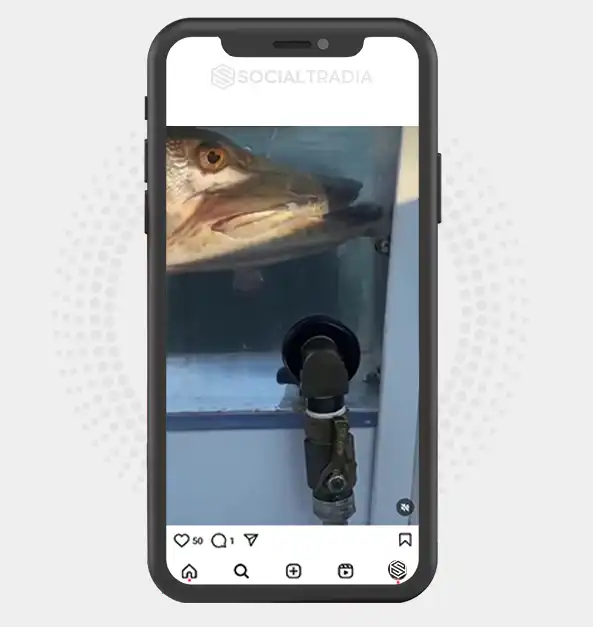 buy Instagram account Fisher Story (2 k Followers) buy Instagram account Fisher Story (2 k Followers)