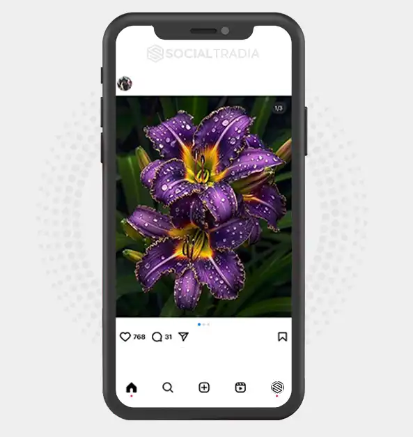 buy Instagram account Flower Side (2 k Followers)