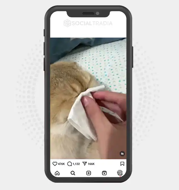 buy Instagram account Kitty Exhausted (51 k Followers)