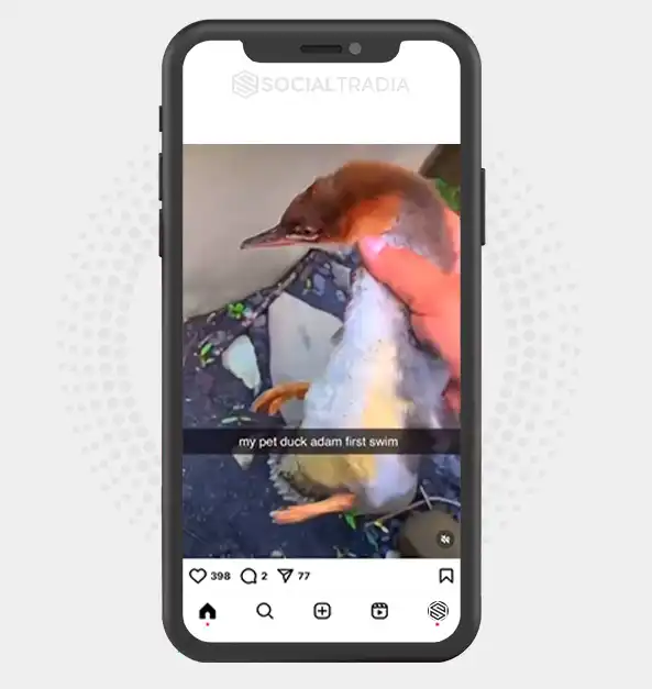 buy instagram account