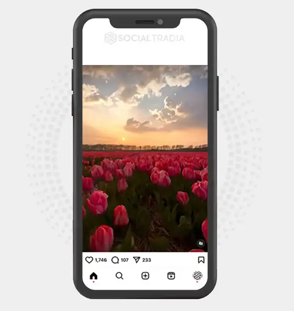 buy Instagram account Peaceful Land (3.3 k Followers)