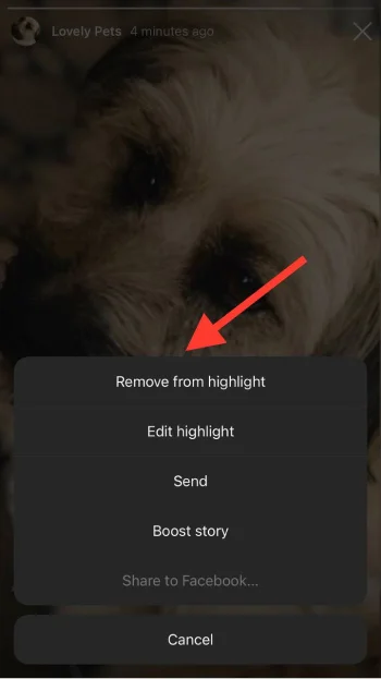 choose remove from highlight
