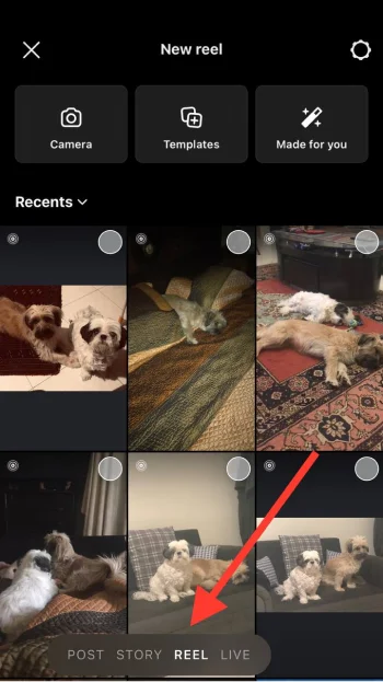 Open IG and create a reel