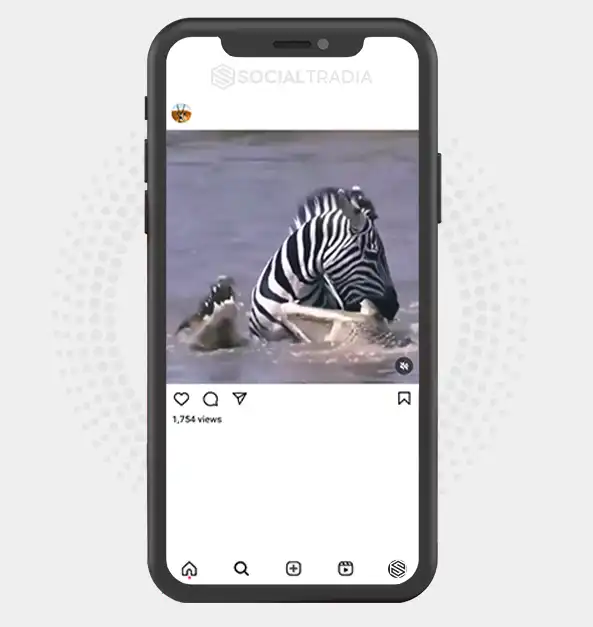 buy Instagram account Animal Savage (2 k Followers)
