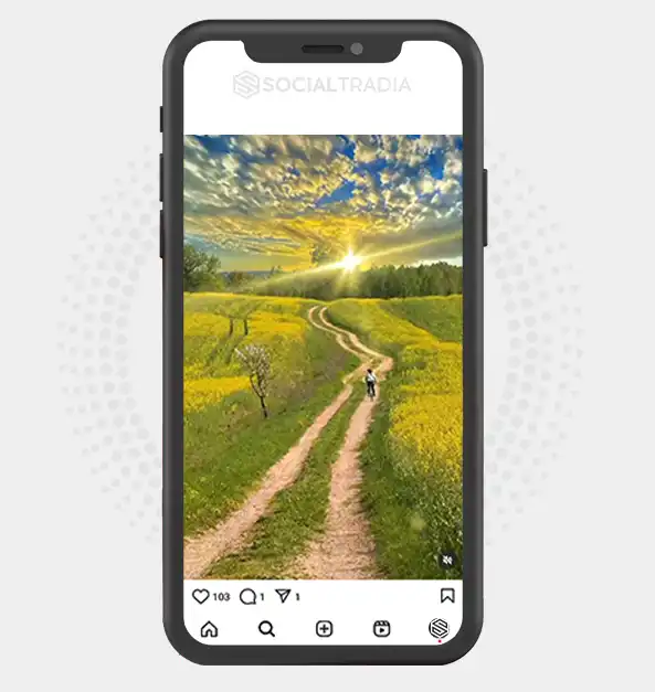 buy Instagram account CanvasNature (2 k Followers)