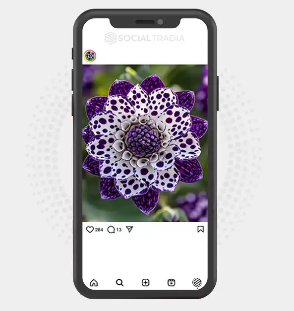 buy instagram account