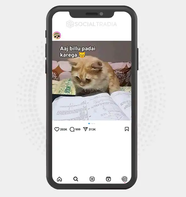 buy Instagram account KittenLord (15.1 k Followers)