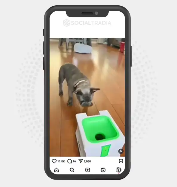 buy Instagram account PuppyLeads (15.3 k Followers)