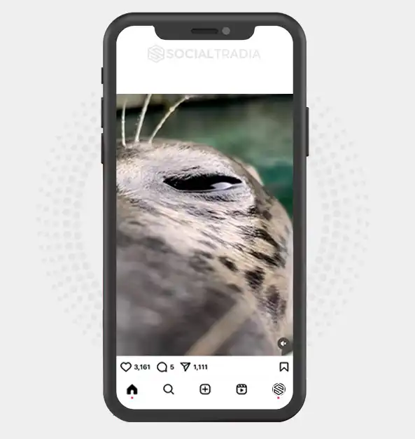 buy instagram account