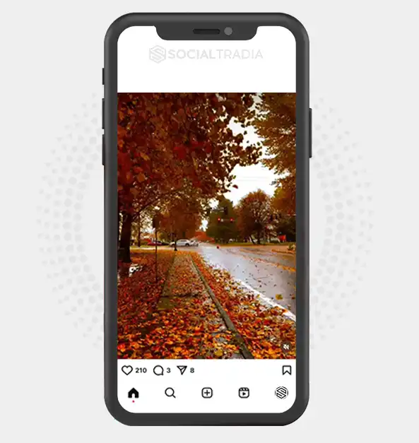buy Instagram account Shared Tour (2 k Followers)
