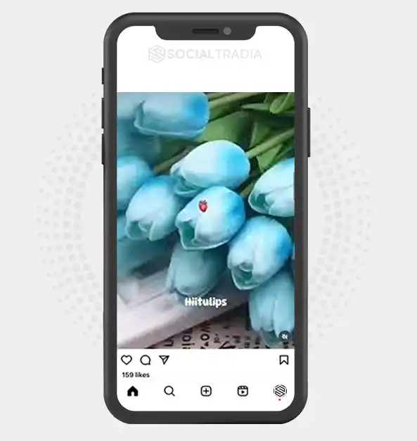 buy instagram account