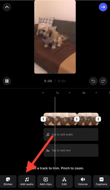 Tap add audio