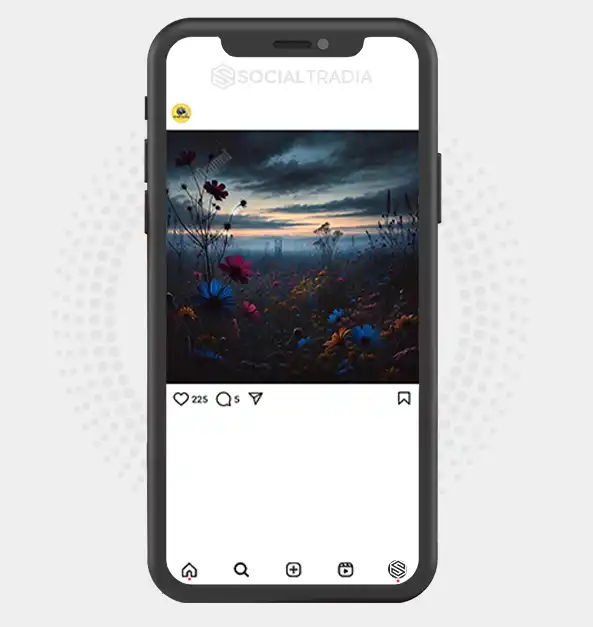 buy Instagram account BeautyCaptured (3.4 k Followers)