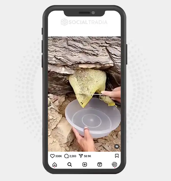 buy Instagram account Honey Sale (86.7 k Followers)