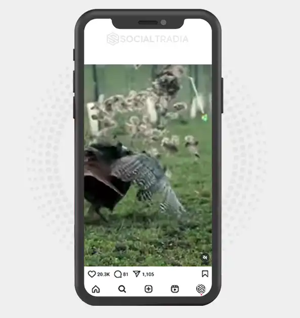 buy instagram account
