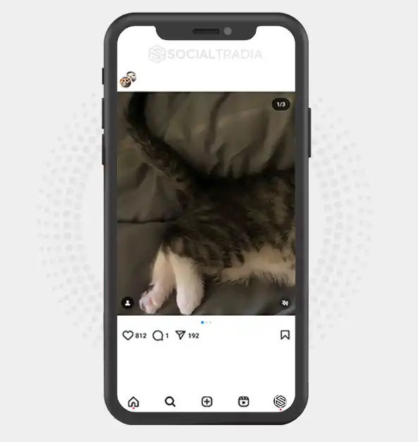 buy Instagram account Kitten Sound (9.6 k Followers)